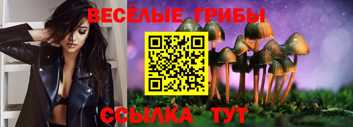 Псилоцибиновые грибы ЛСД Канаш